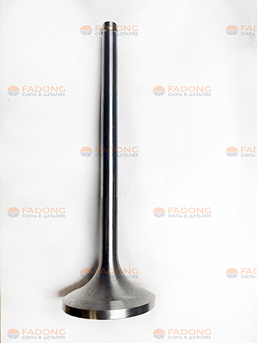 Клапан впускной/выпускной 620005020060