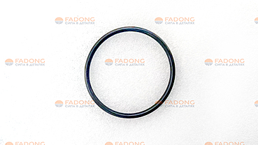 Кольцо уплотнительное термостата 612630060067/4110003268029