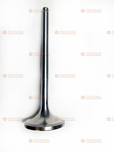 Клапан впускной/выпускной 620005020060 (Аналог)