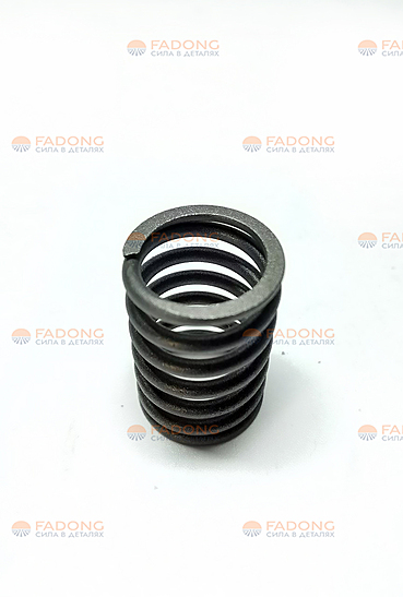 Пружина клапана большая 2010056 (ОРИГИНАЛ)